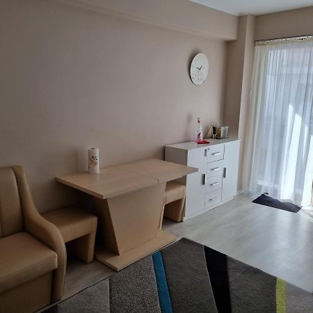 Apartament Mon Jardin - Iasi Διαμέρισμα Εξωτερικό φωτογραφία