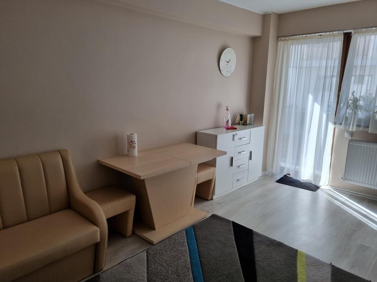 Apartament Mon Jardin - Iasi Διαμέρισμα Εξωτερικό φωτογραφία